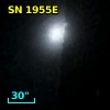 SN 1955E
