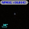 NPM1G +56.0142