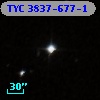TYC 3837-677-1