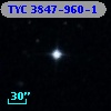 TYC 3847-960-1