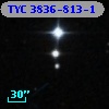 TYC 3836-813-1