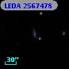 LEDA 2567478