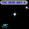 TYC 3836-667-1