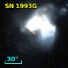 SN 1993G