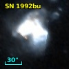 SN 1992bu