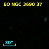 EO NGC 3690  37