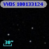 VVDS 100133124