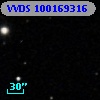 VVDS 100169316