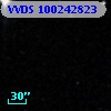 VVDS 100242823