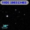 VVDS 100313403