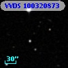 VVDS 100320873