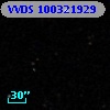 VVDS 100321929