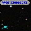VVDS 220001273