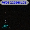 VVDS 220008125