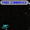VVDS 220009313