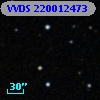VVDS 220012473