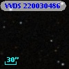 VVDS 220030486