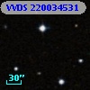 VVDS 220034531