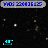 VVDS 220036125