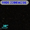 VVDS 220036216