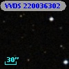 VVDS 220036302