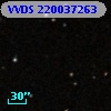 VVDS 220037263