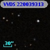 VVDS 220039313