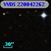 VVDS 220042262