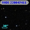 VVDS 220047411