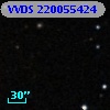 VVDS 220055424