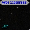 VVDS 220055839