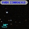 VVDS 220056313