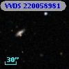 VVDS 220058981