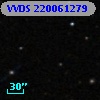 VVDS 220061279