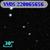 VVDS 220065656