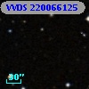 VVDS 220066125
