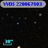 VVDS 220067803