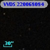 VVDS 220068084