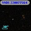 VVDS 220077564