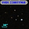 VVDS 220077960