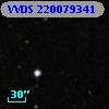 VVDS 220079341