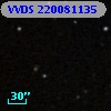 VVDS 220081135