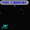 VVDS 220088303