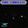 VVDS 220091124