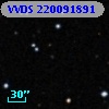 VVDS 220091891
