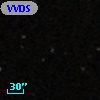 VVDS 220095214