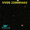 VVDS 220095442