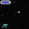 VVDS 220097366