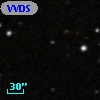 VVDS 220099447