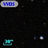 VVDS 220101144